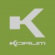 Korum Large 120 gr Mesh Feeder